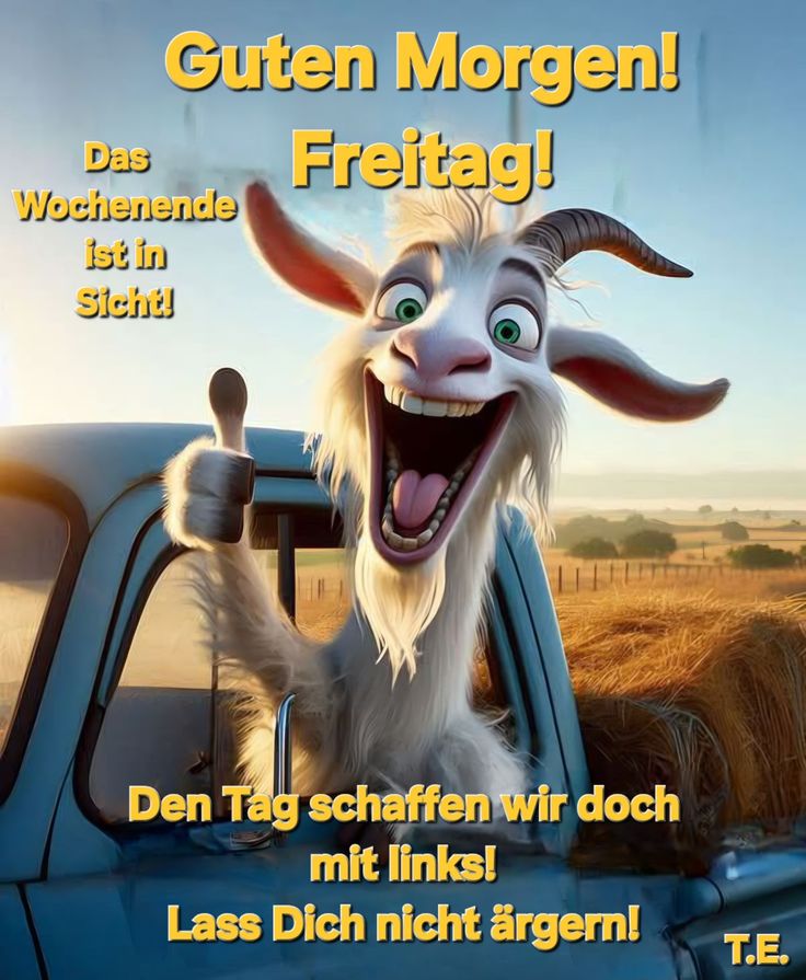 Freitag Bilder Lustig 146