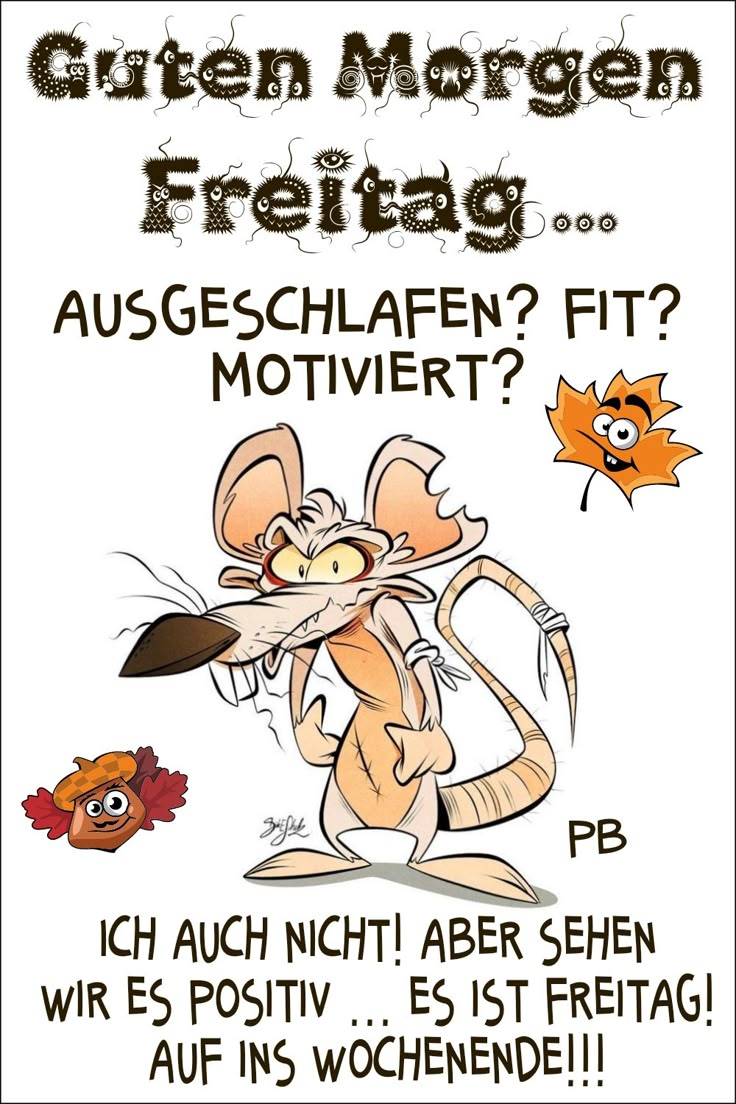 Freitag Bilder Lustig 15