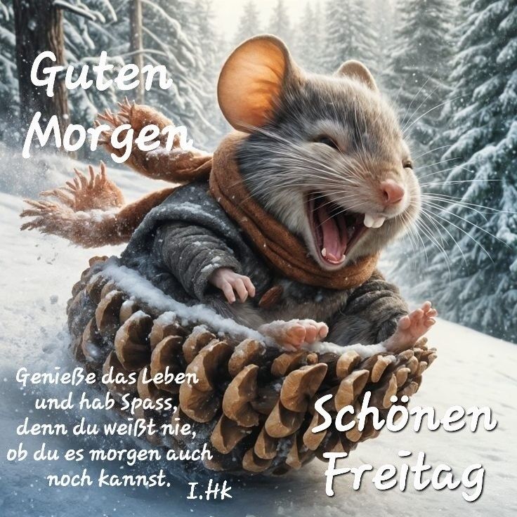 Freitag Bilder Lustig 17