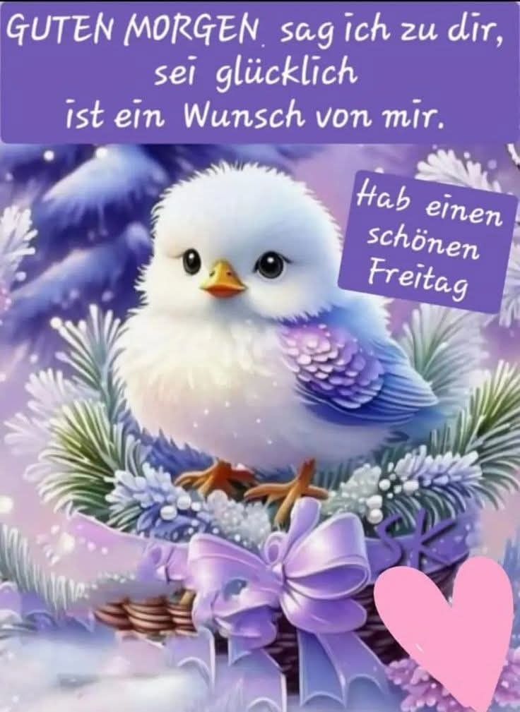 Freitag Bilder Lustig 28