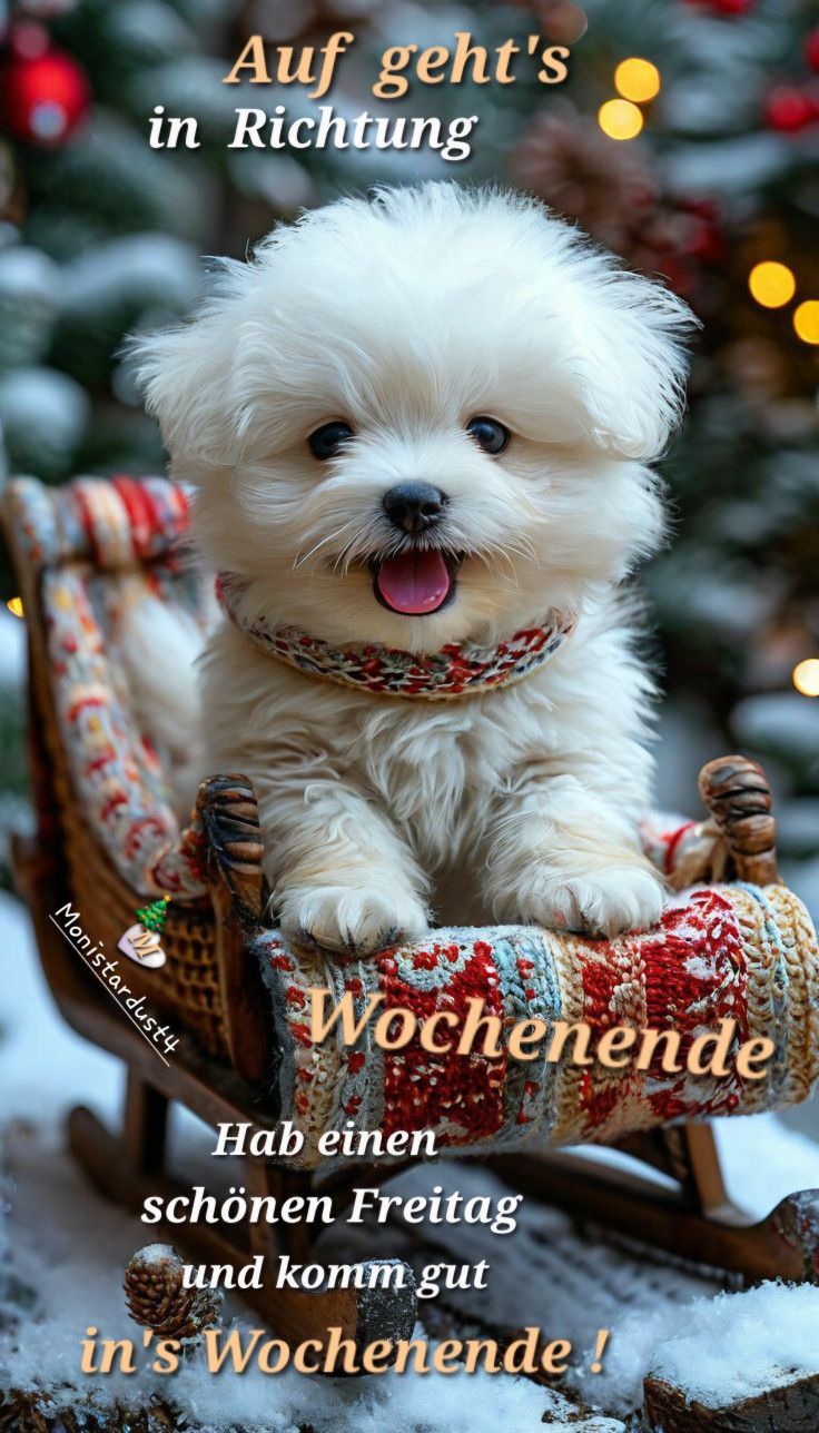 Freitag Bilder Lustig 36