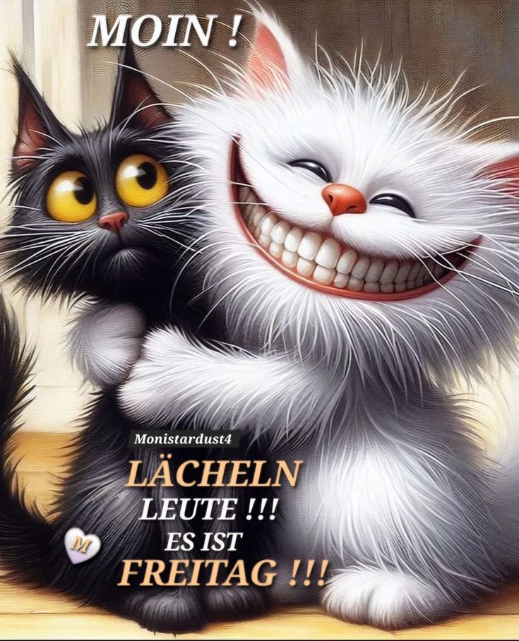 Freitag Bilder Lustig 43