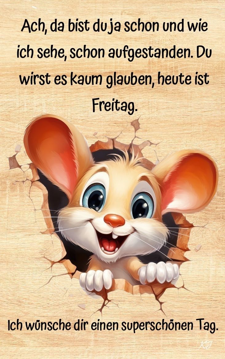 Freitag Bilder Lustig 46