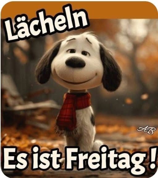 Freitag Bilder Lustig 6