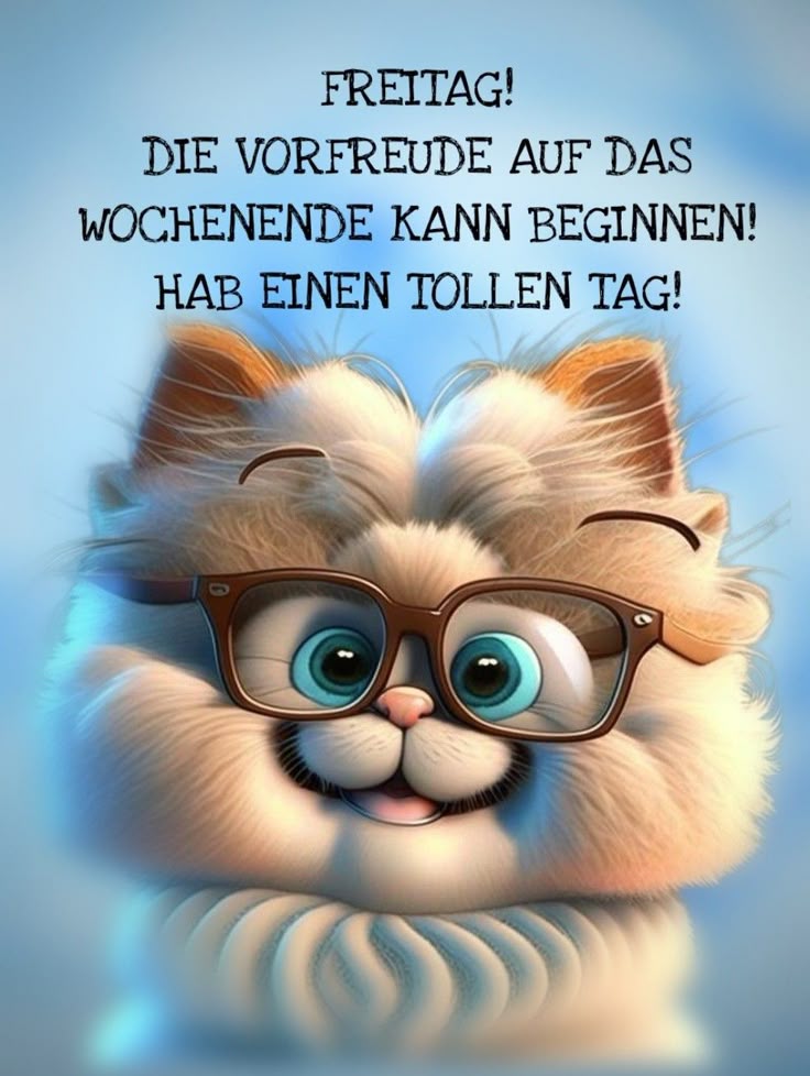 Freitag Bilder Lustig 62
