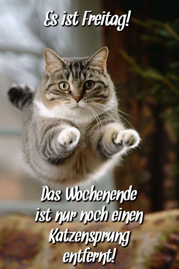 Freitag Bilder Lustig 77