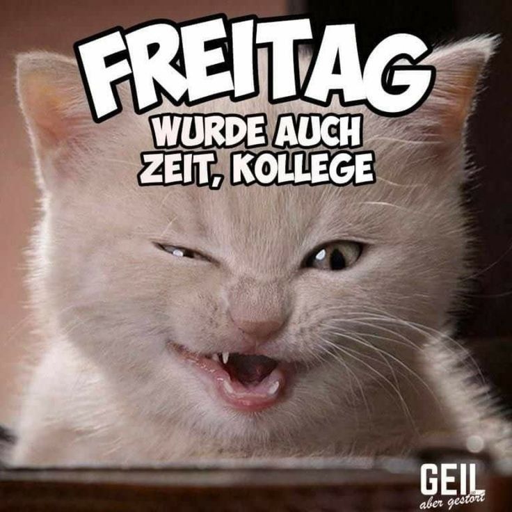 Freitag Bilder Lustig 79