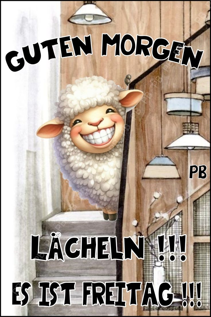 Freitag Bilder Lustig 83