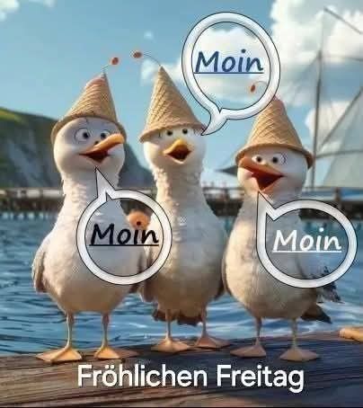 Freitag Bilder Lustig 86