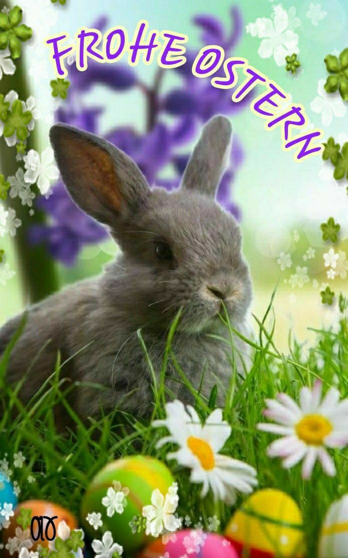 Frohe Ostern Bilder 28