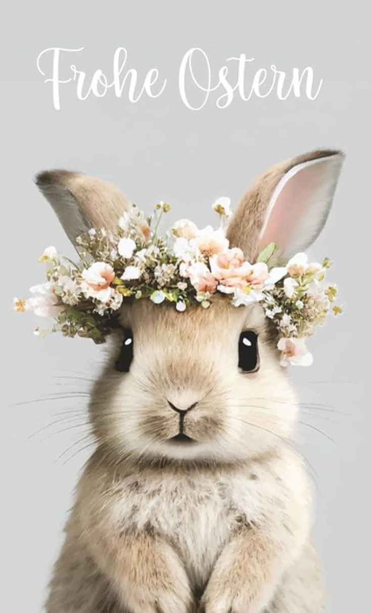 Frohe Ostern Bilder 49