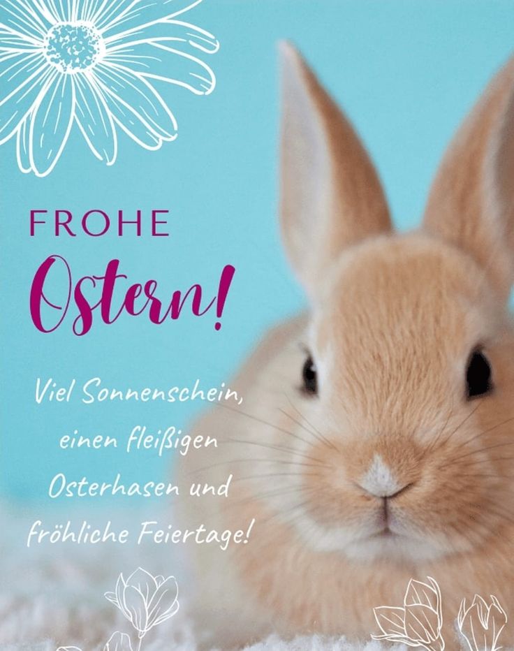 Frohe Ostern Bilder 7