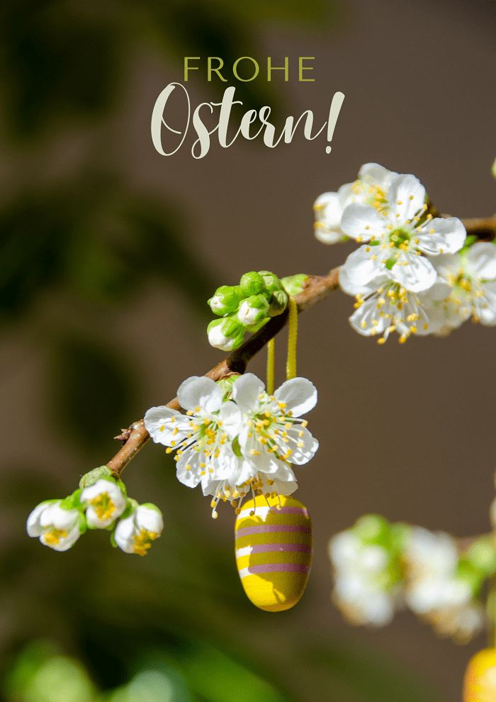 Frohe Ostern Bilder 70