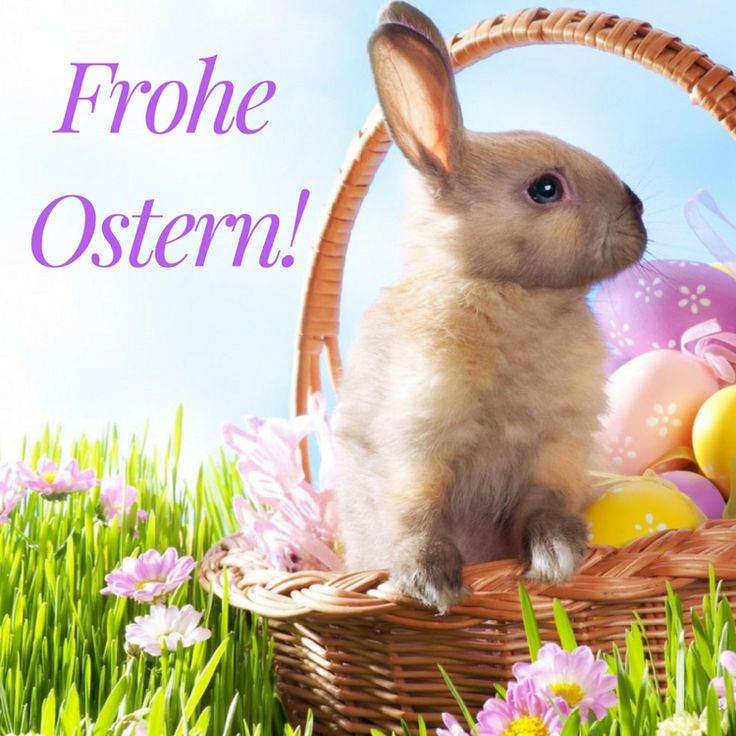 Frohe Ostern Bilder 95