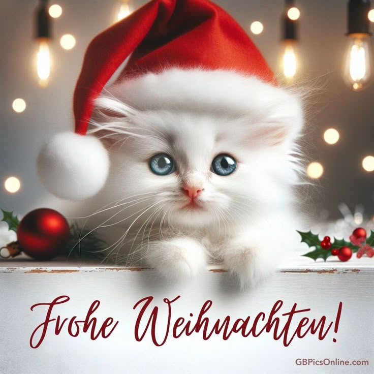 Frohe Weihnachten Bilder 145