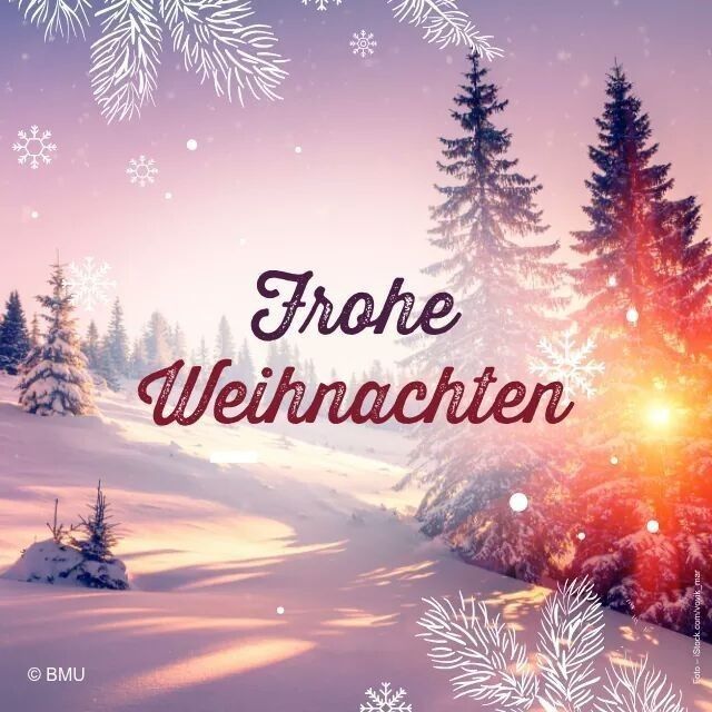 Frohe Weihnachten Bilder 61