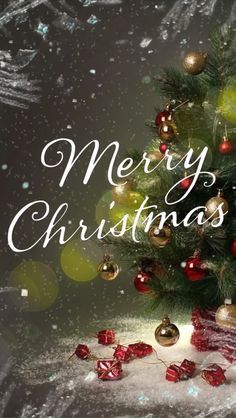 Frohe Weihnachten Bilder 88