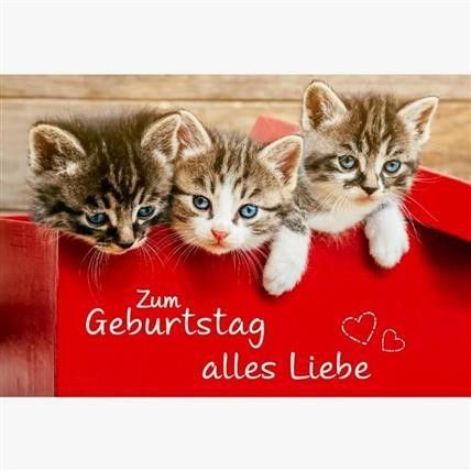 Geburtstag Bilder 110
