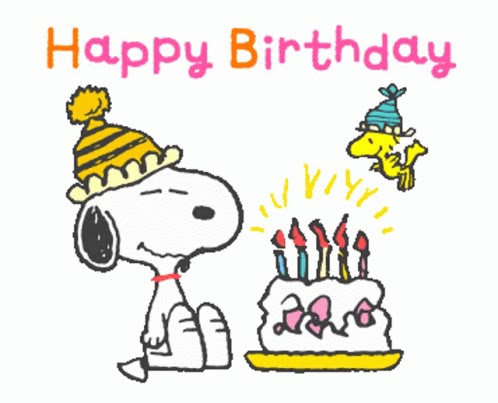 Geburtstag Bilder 5