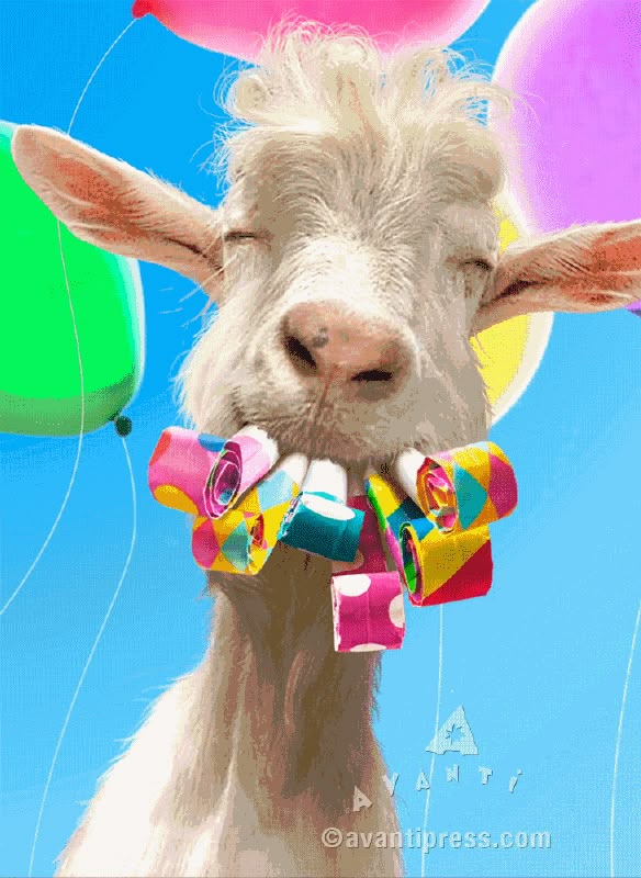 Geburtstag Bilder 59