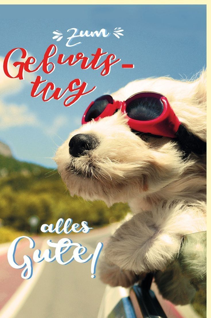 Geburtstag Bilder 8