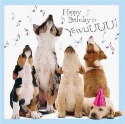 Geburtstag Bilder 82