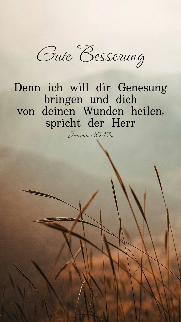 Gute Besserung Bilder 100