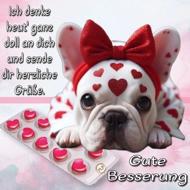 Gute Besserung Bilder 101