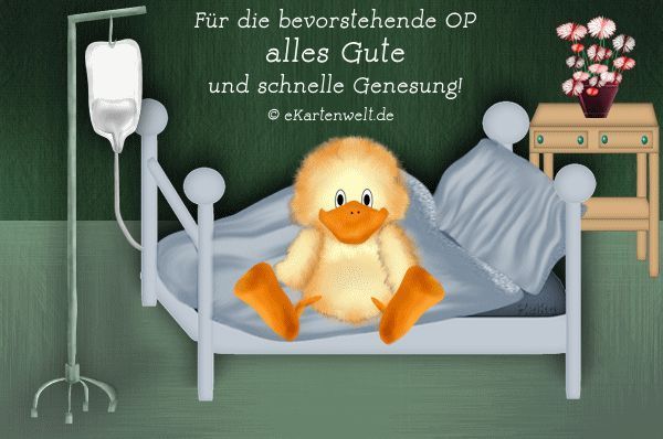 Gute Besserung Bilder 113