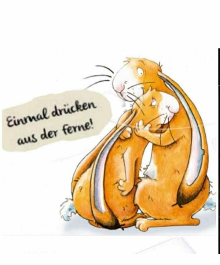 Gute Besserung Bilder 144