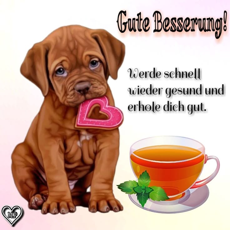 Gute Besserung Bilder 23