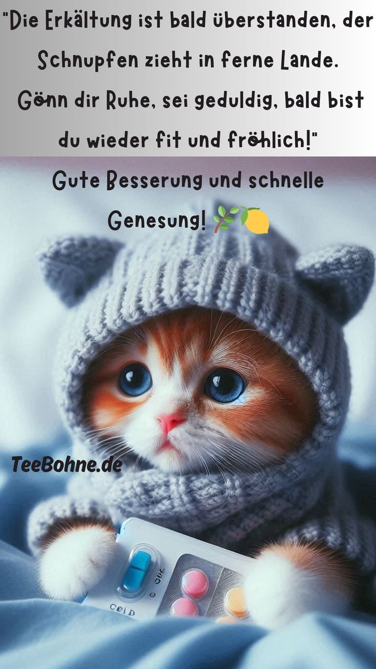 Gute Besserung Bilder 3