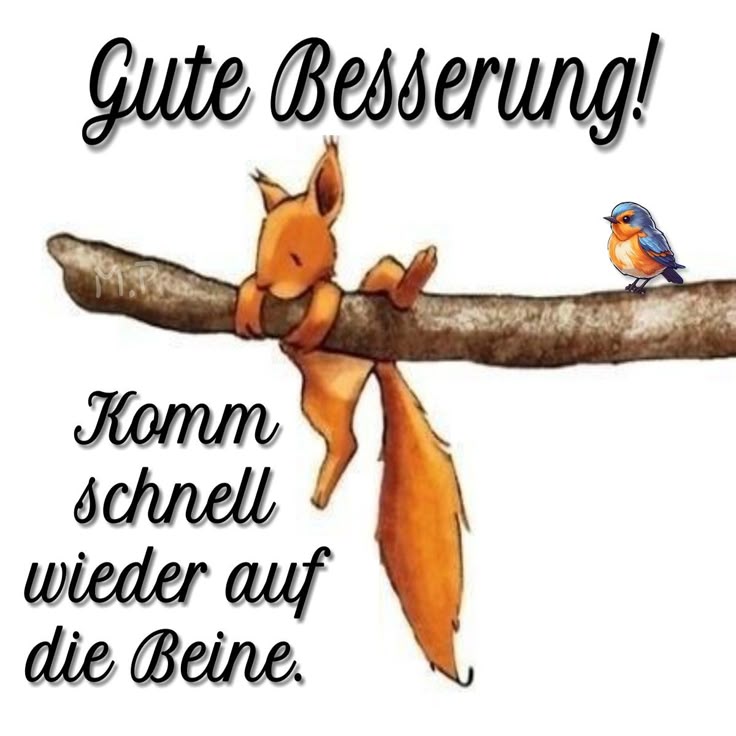 Gute Besserung Bilder 41