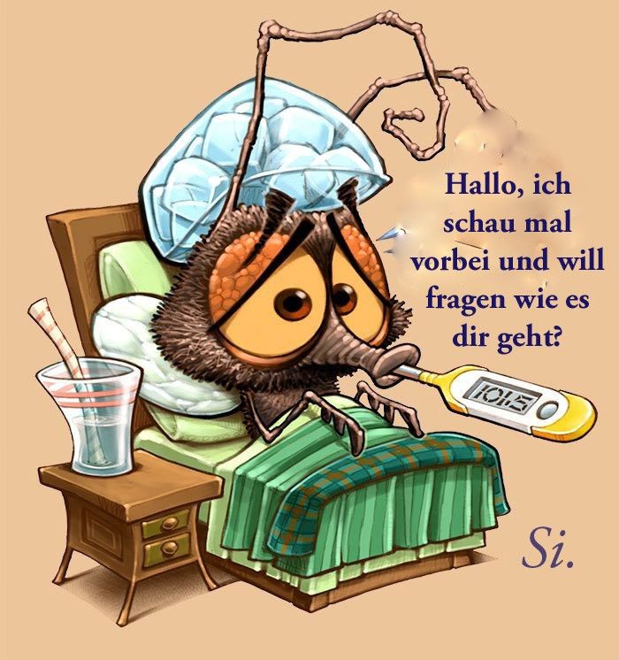 Gute Besserung Bilder 49