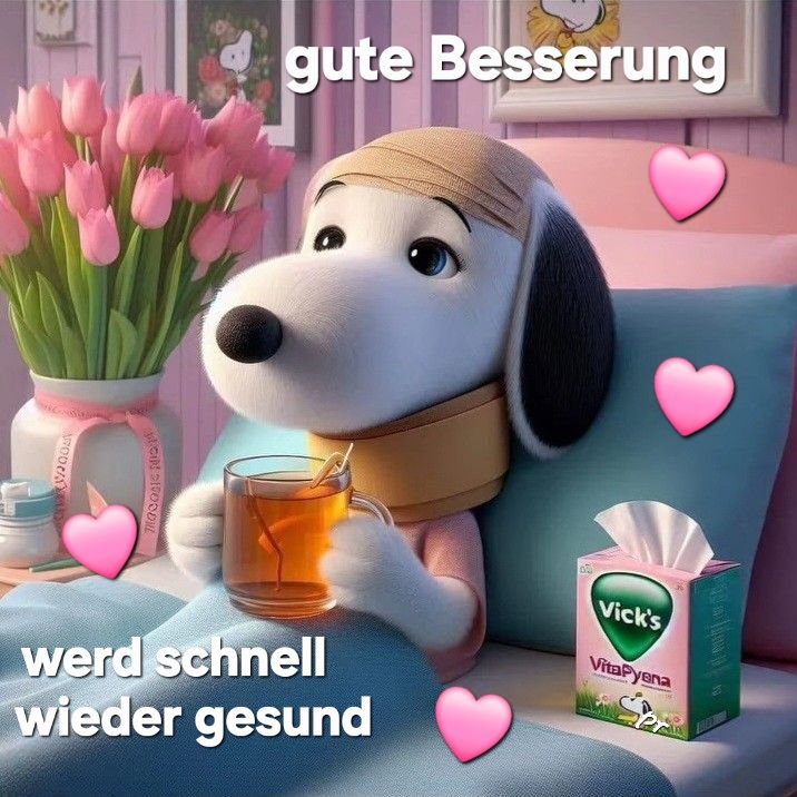 Gute Besserung Bilder 5