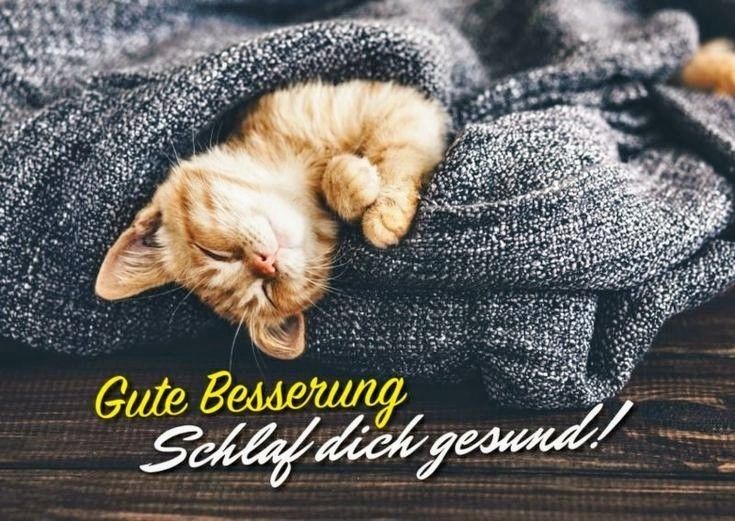 Gute Besserung Bilder 66
