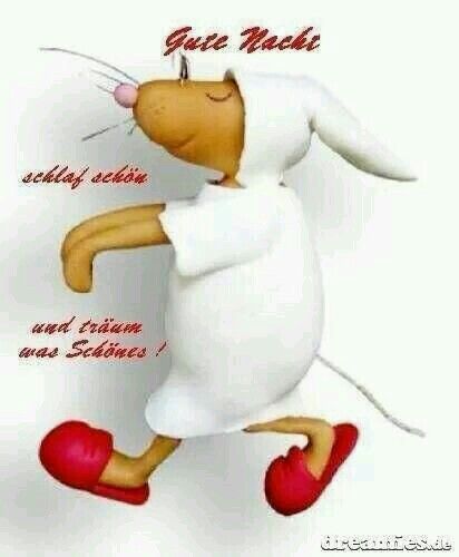 Gute Nacht Bild Lustig 103