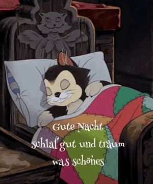 Gute Nacht Bild Lustig 106