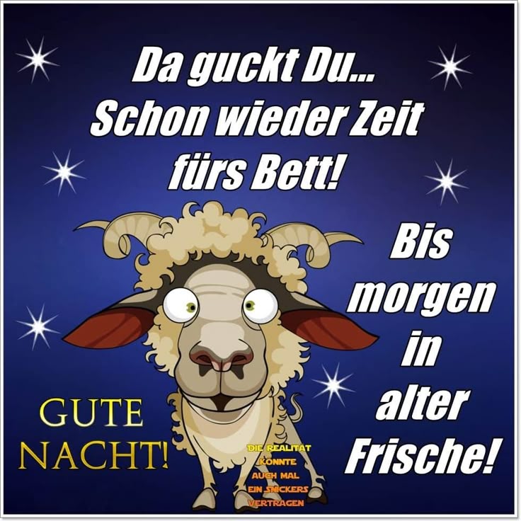 Gute Nacht Bild Lustig 114