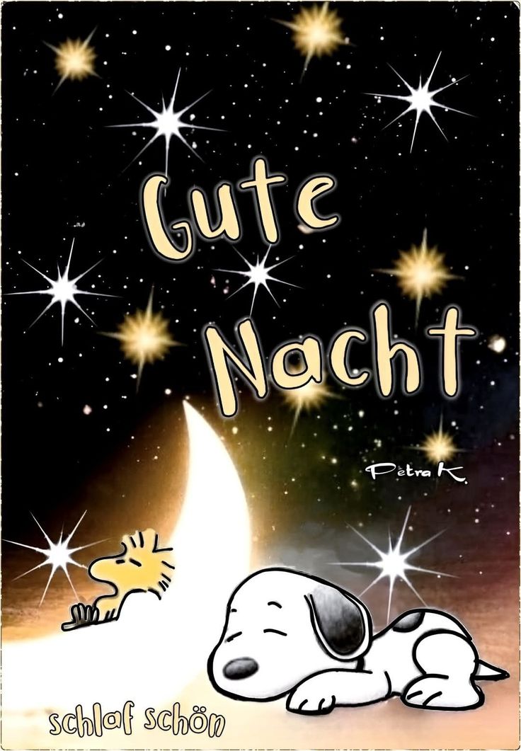 Gute Nacht Bild Lustig 115