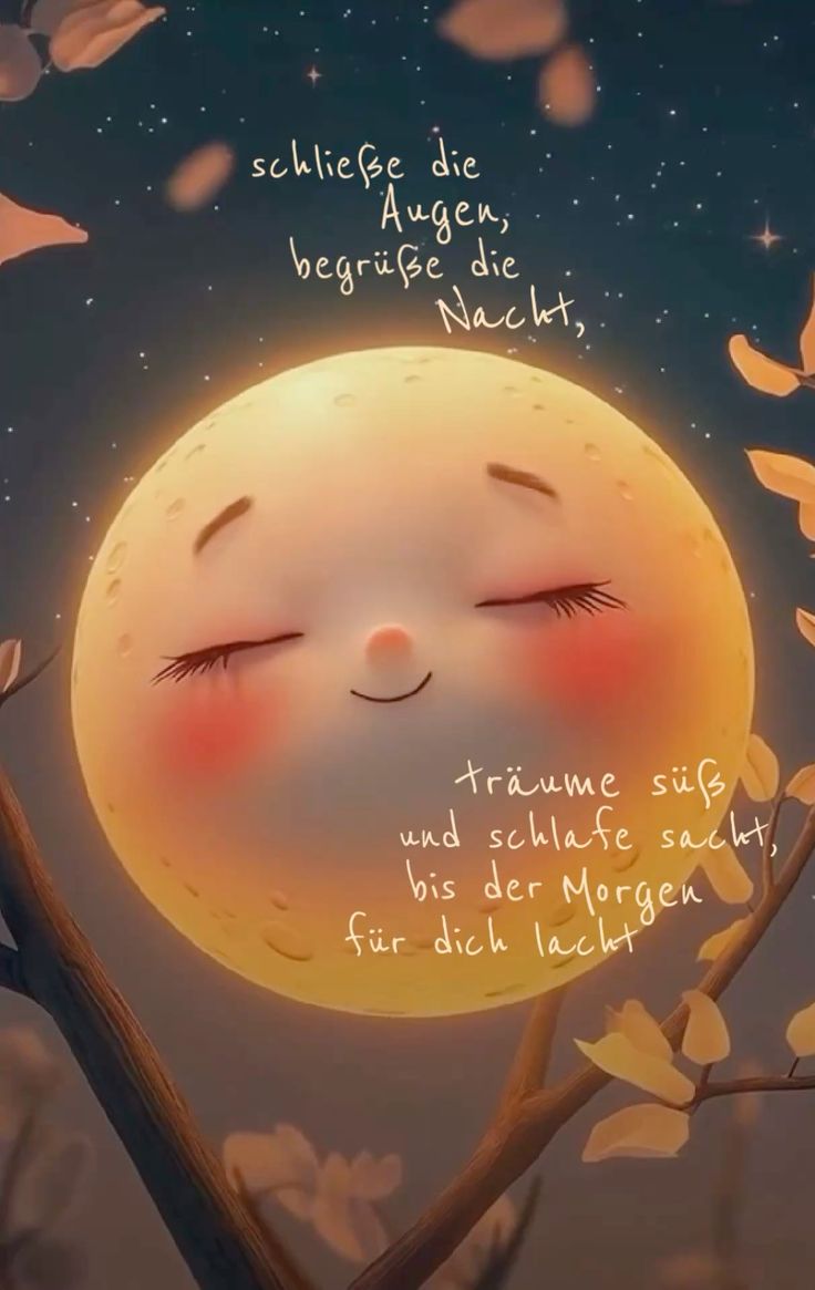 Gute Nacht Bild Lustig 118