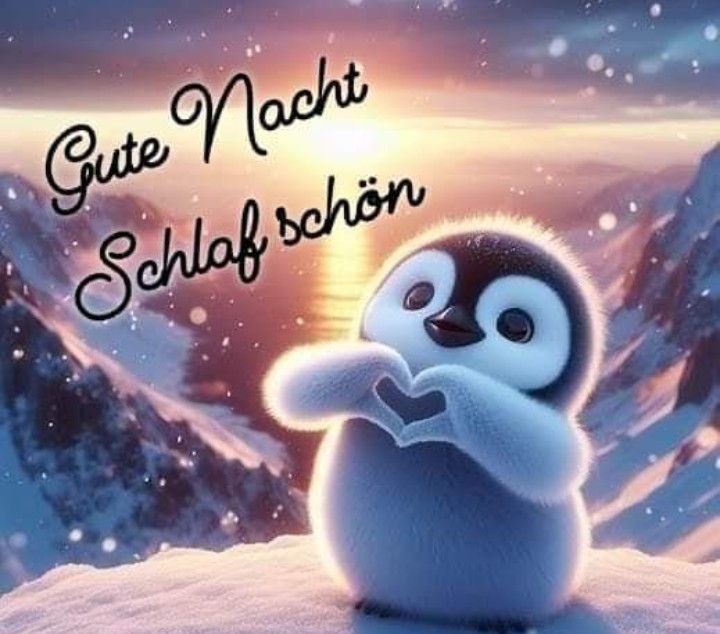 Gute Nacht Bild Lustig 121