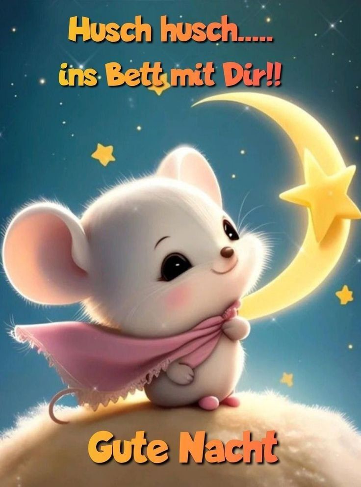 Gute Nacht Bild Lustig 18