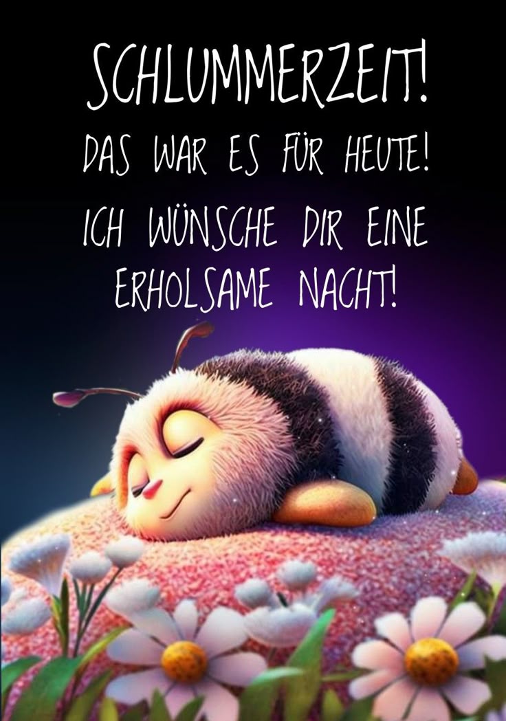 Gute Nacht Bild Lustig 2