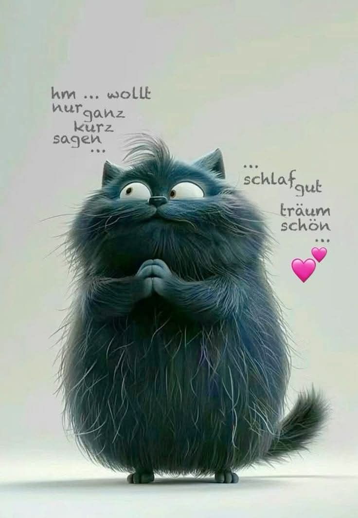 Gute Nacht Bild Lustig 32