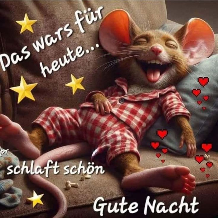 Gute Nacht Bild Lustig 4