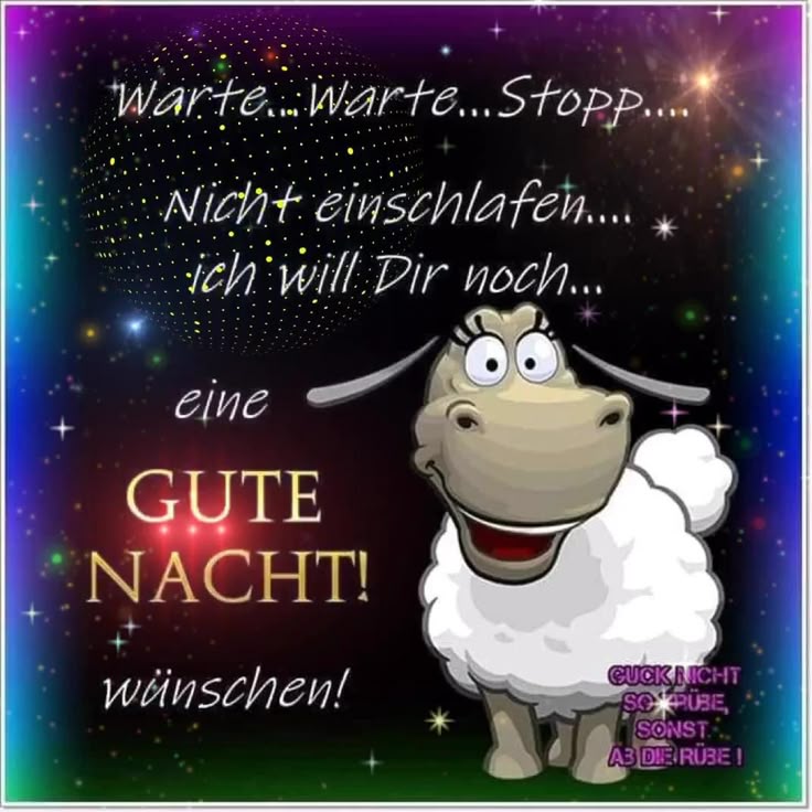 Gute Nacht Bild Lustig 56