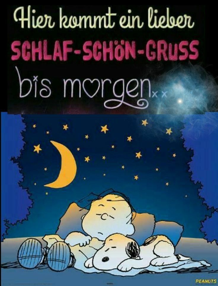 Gute Nacht Bild Lustig 72