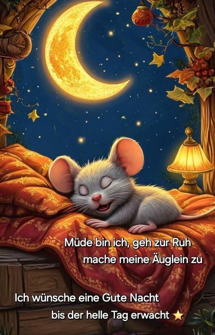 Gute Nacht Bild Lustig 97