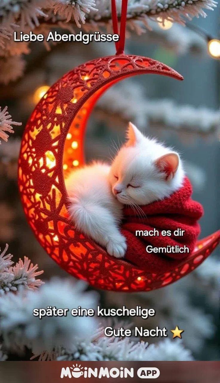 Gute Nacht Bilder Neu 34